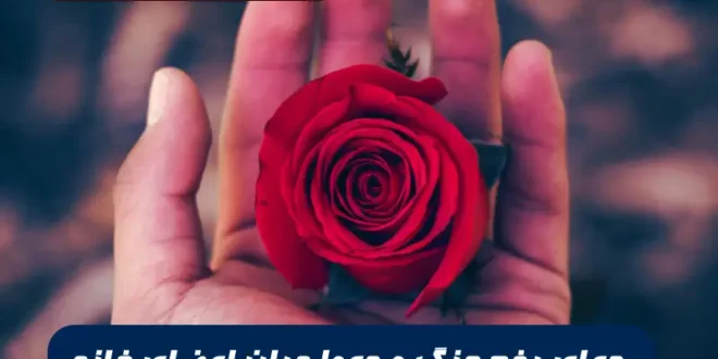 برای رفع دعوا و درگیری در میان اعضای خانه این دعا را بخوانید معجزه می کند