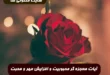 آیات معجزه گر محبوبیت و افزایش مهر و محبت