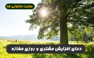 اگر مغازه دار هستید برای افزایش مشتری و رزق و روزی این دعا را در مغازه بگذارید