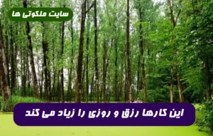 این کارها رزق و روزی را زیاد می کند ( 100 درصد تضمینی و مجرب)