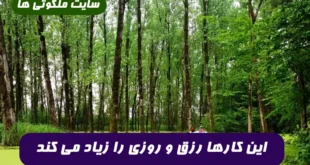 این کارها رزق و روزی را زیاد می کند ( 100 درصد تضمینی و مجرب)