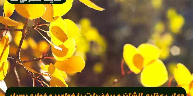 دعایی عظیم الشان و پرفضیلت با خواص و فواید بسیار فراوان