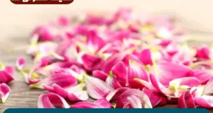 دعای قوی برای اینکه شخصی را مطیع و عاشق و دلباخته خود کنید 100% تضمینی