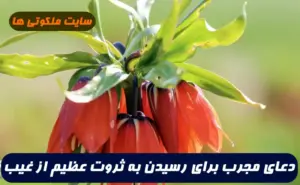 دعایی مجرب برای رسیدن سریع رزق و روزی و دست یافتن به ثروت فراوان تضمینی