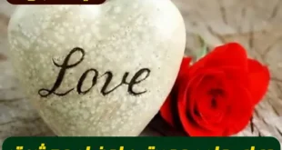 2 دعای قوی برای جلب محبت و احضار مطلوب و افزایش محبت معشوق سریع الاجابه