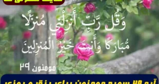 آیه ۲۹ سوره مومنون برای رزق و روزی,طریقه خواندن آیه 72 سوره مومنون برای رزق و روزی