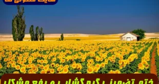 ختم به صورت تضمینی برای رفع مشکل و گره گشایی از گرفتاری ها سریع الاثر