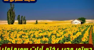دستور مجرب ختم آیات 60 تا 64 سوره نمل برای روا شدن هر حاجت و خواسته تضمینی