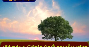 دعای برآورده شدن حاجات و رفع فقر از خانه و افزایش خیر و برکت در زندگی
