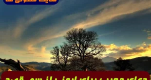 دعای مجرب برای ايمنی از سوء قصد و در امان ماندن از شر مردم تضمینی