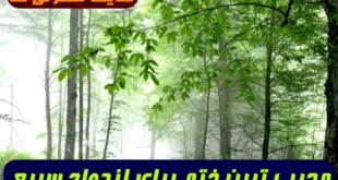 مجرب ترین ختم برای ازدواج سریع و رفع مشکلات و موانع ازدواج