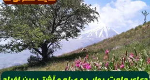 2 دعا مخصوص حاجت روایی تضمینی و صلح و آشتی میان افراد 100% تضمینی