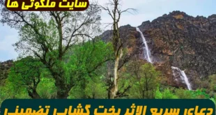 2 راهکار تضمینی و مجرب برای بخت گشایی و ازدواج دختران و پسران