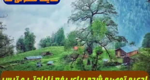 ادعیه توصیه شده برای رفع ناراحتی و ترس و گرفتن حاجت 100% تضمینی