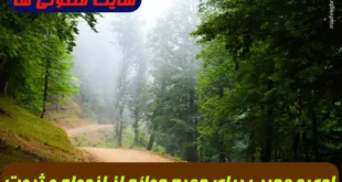ادعیه مجرب برای جمیع حوائج از ازدواج و ثروت و هر حاجت دیگری