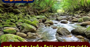 با این دعا نحسی زندگی شما رفع و بحث و جنگ و جدال از زندگی تان دفع میشود