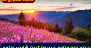 دعای دفع مزاحم و بیرون کردن شخصی که وارد خانه شما میشه و حضورش باعث دردسره