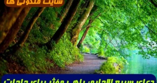 دعای سریع الاجابه: راهی مؤثر برای برآورده شدن حاجات با استفاده از آیات سوره جاثیه