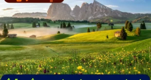 دعای مخصوص رفع بیماری های سر و چشم و گوش و قلب و شکم 100% تضمینی