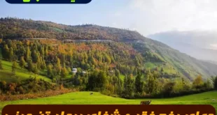 دعای رفع فقر و شفای بیمار: دعای مجرب برای برکت، سلامت و گشایش روزی