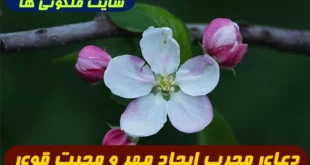 دعای مجرب ایجاد مهر و محبت قوی و فوری با آیات سوره یس | دستورالعمل کامل از اسرار المقاصد