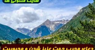 دعای مجرب جهت عزیز شدن و محبوبیت: مداومت بر ذکر "الولی الحمید" برای جلب محبت و احترام