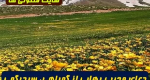 دعای مجرب رهایی از گمراهی، سردرگمی و پیدا کردن مسیر درست زندگی | نسخه قرآنی برای هدایت قلب و ذهن از سوره زخرف