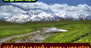 دعای مجرب محبوب شدن در دل دیگران و رفع دشمنی‌ ها | آیه ۷ سوره ممتحنه برای ایجاد محبت و آشتی