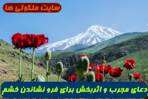 دعای مجرب و اثربخش برای فرو نشاندن خشم، درمان تندخویی و آرام‌سازی دل در لحظات عصبانیت؛ توصیه‌ای از کتاب شریف مکارم‌الأخلاق با ذکر صلوات و دعا برای دفع غیظ قلبی و دوری از وسوسه‌های شیطان