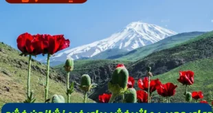 دعای مجرب و اثربخش برای فرو نشاندن خشم، درمان تندخویی و آرام‌سازی دل در لحظات عصبانیت؛ توصیه‌ای از کتاب شریف مکارم‌الأخلاق با ذکر صلوات و دعا برای دفع غیظ قلبی و دوری از وسوسه‌های شیطان