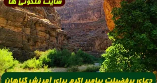 دعای پرفضیلت پیامبر اکرم برای آمرزش گناهان، جبران اعمال فوت‌ شده و دریافت هزاران حسنه