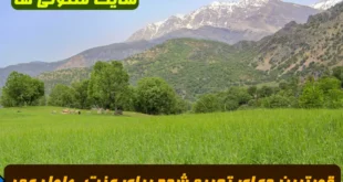 🔹قویترین دعای تجربه‌ شده برای عزت، طول عمر، نابودی دشمنان و دل‌ خوشی از کتاب معتبر مخازن؛ همراه با متن کامل و روش استفاده