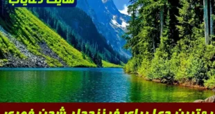 بهترین دعا برای فرزنددار شدن فوری با توصیه اهل بیت | دعای تضمینی بچه‌ دار شدن از امام رضا و راهکار معنوی ناباروری