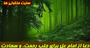 دعا از امام عل برای جلب رحمت، آرامش و خوشبختی در زندگی دنیا و آخرت