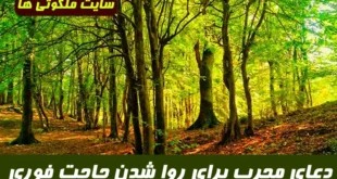 دعای مجرب برای روا شدن حاجت‌ در کوتاه‌ ترین زمان | ختم کامل ۳ روزه حاجات