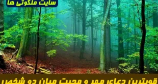 قویترین دعای مهر و محبت برای افزایش عشق و محبت و دوستی میان دو نفر