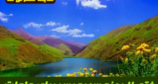 ۷ روز تا اجابت حاجات با ختم معجزه‌ آسای سوره یس برای ازدواج، رزق، دفع دشمن و عزت