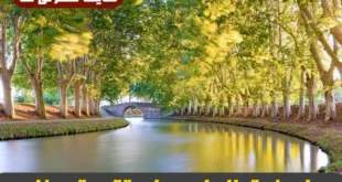 دعای فوق‌ العاده برای تقویت بینایی و درمان ضعف چشم و زیاد شدن نور چشم