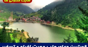 قویترین دعای جلب محبت افراد و تسخیر و محبوب شدن نزد دیگران