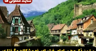 بهترین ذکر مجرب امام رضا برای رفع مشکلات و گرفتاری‌ و افزایش رزق و برآورده شدن حاجات