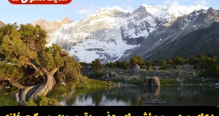 دعای مجرب و مؤثر برای جذب رزق و روزی و برکت خانه، مغازه و کسب و کار