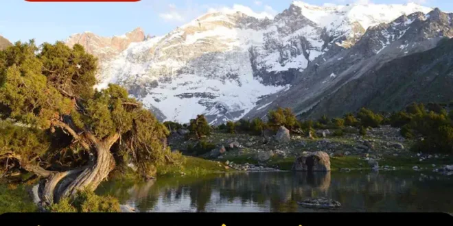 دعای مجرب و مؤثر برای جذب رزق و روزی و برکت خانه، مغازه و کسب و کار