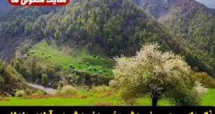 ذکرهای مجرب رفع چشم‌ زخم، دفع دشمن و آزادی زندانی و حصار خانه و زندگی