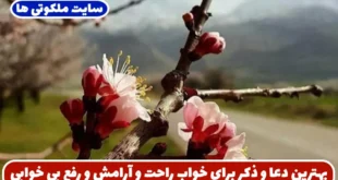 بهترین دعا و ذکر برای خواب راحت و آرامش اعصاب و درمان بی‌ خوابی مزمن
