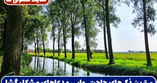 بهترین ذکرهای حاجت‌ روایی و دعاهای مشکل‌ گشا برای رفع مشکلات