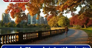 دعای جذب مشتری برای فروش سریع کالا و رسیدن به ثروت و مال و روزی فراوان