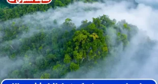 دعای جلب محبت و نرم کردن دل افراد خشن و صاحب کار و اجابت حاجت