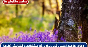 دعای حاجت اویس قرنی برای رفع مشکلات و رسیدن به حاجات و خواسته ها
