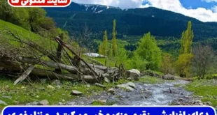 دعای افزایش رزق و روزی و خیر و برکت در منزل برای افرادی که به دنبال رونق کسب و کار و زندگی پر برکت هستند