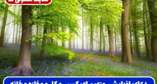 دعای افزایش روزی برای کسب‌ و کار و مغازه | با این ذکر درآمد خود را افزایش دهید